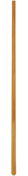 e100_114.jpg
